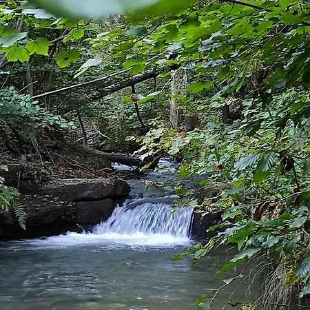 Farm stay Dom Na Wzgorzu Bystrzyca Klodzka