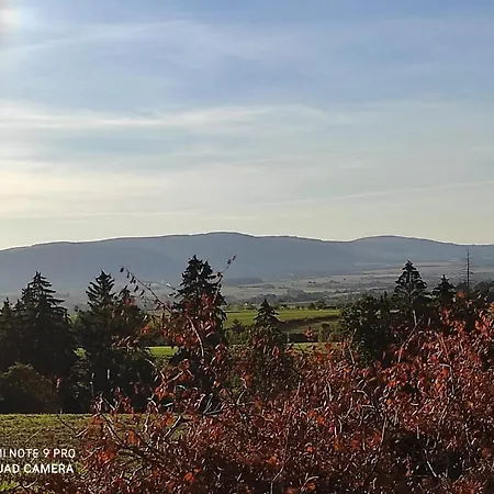 Gospodarstwo agroturystyczne Dom Na Wzgórzu Bystrzyca Kłodzka