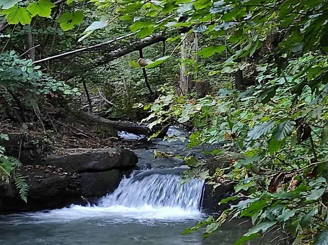 Gospodarstwo agroturystyczne Dom Na Wzgórzu Bystrzyca Kłodzka